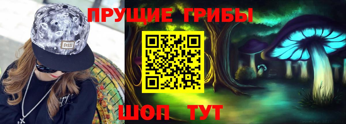 Псилоцибиновые грибы Cubensis  Вход с VPN  Чистополь 